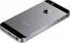 Back cover Apple iPhone 5S Grey